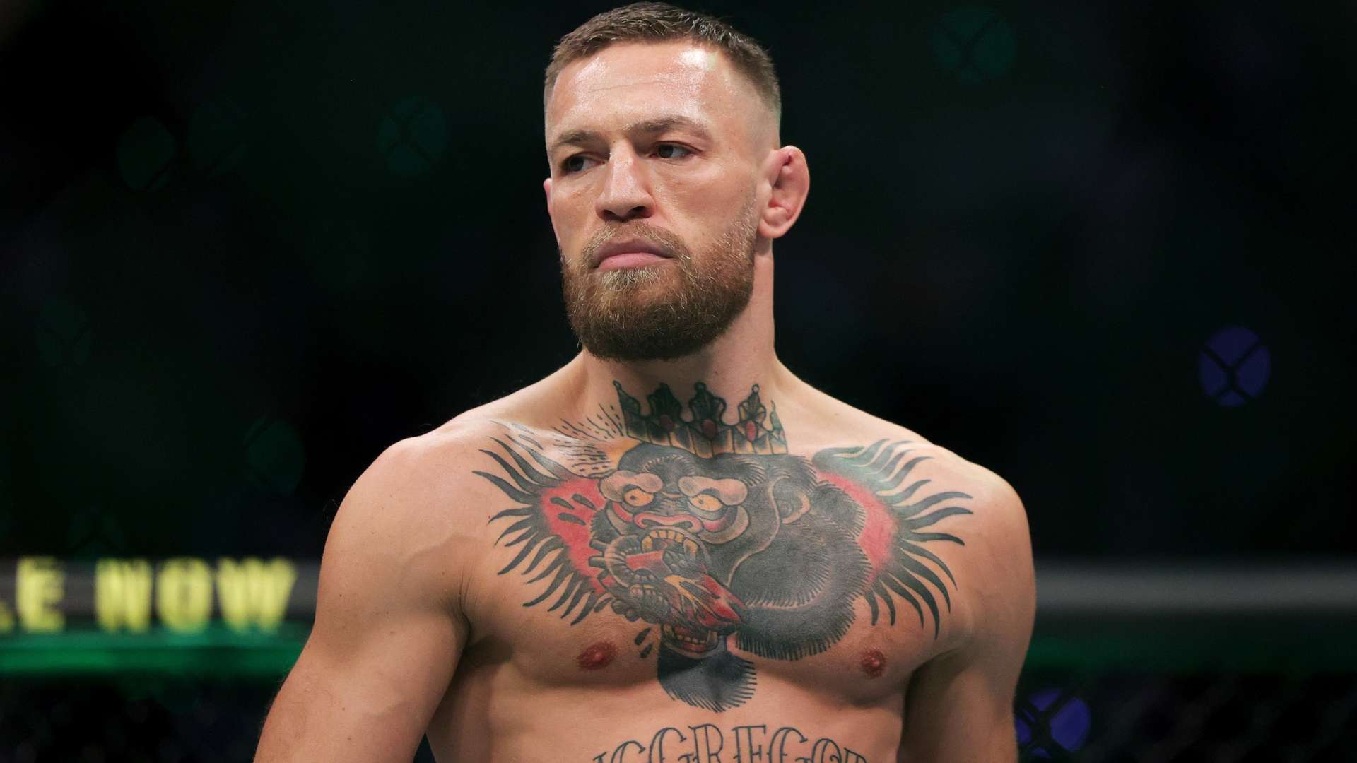 更是对他们 更是对他们